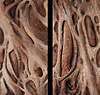 Tileable Handpainted Textures